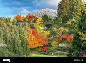 queen elizabeth park