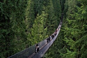 capilano suspension bridge